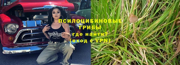 mdma Снежногорск