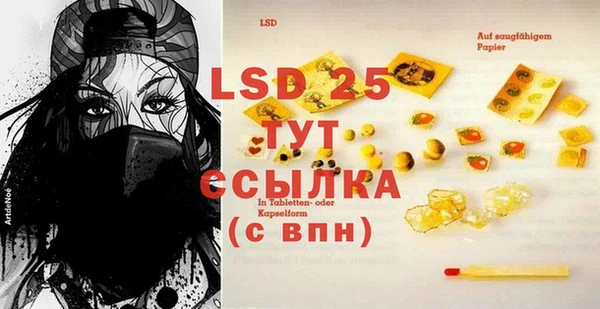 СК Апатиты